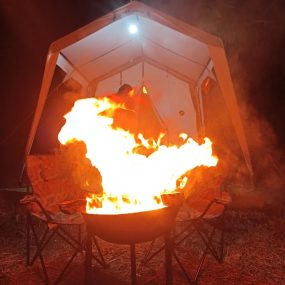 bonefire