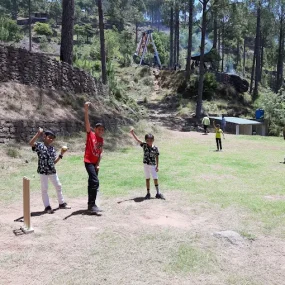 cricket-sagrela