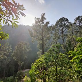 sangrela-viewpoint1