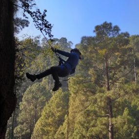 zipline